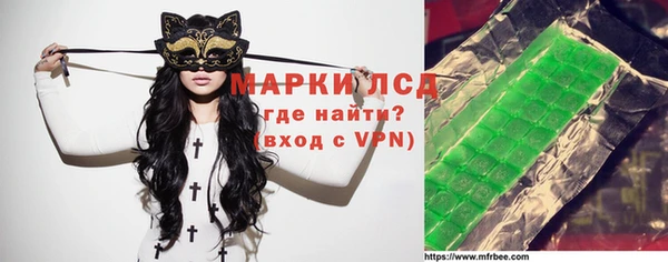 прущие крисы Бородино