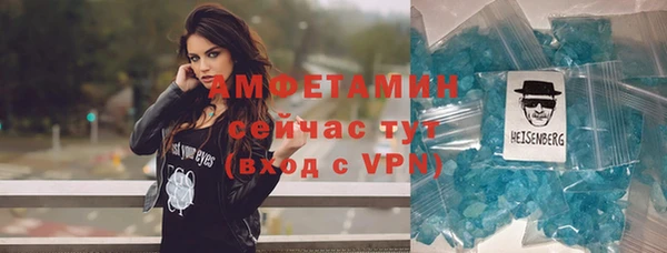 прущие крисы Бородино