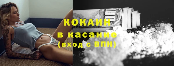 прущие крисы Бородино
