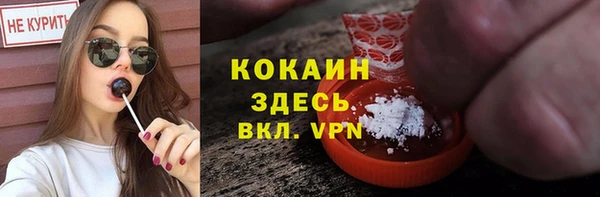 прущие крисы Бородино