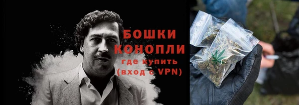 прущие крисы Бородино