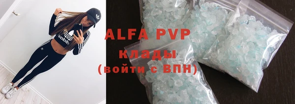 прущие крисы Бородино
