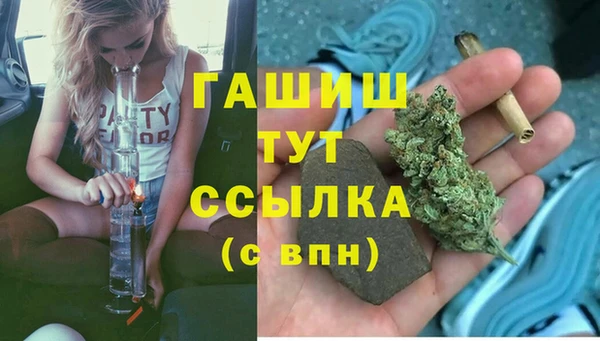прущие крисы Бородино