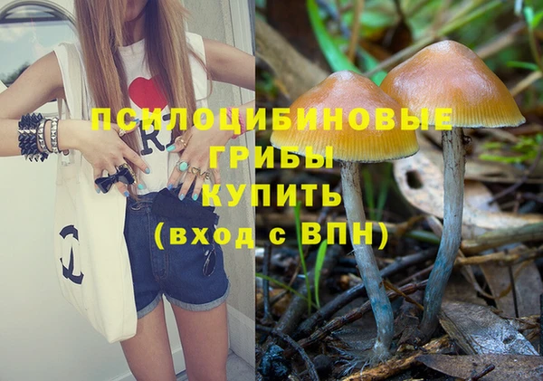 гашишное масло Бронницы