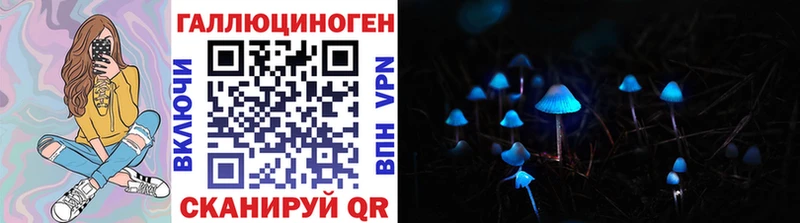 Псилоцибиновые грибы Psilocybine cubensis  Купить закладки  Белый 